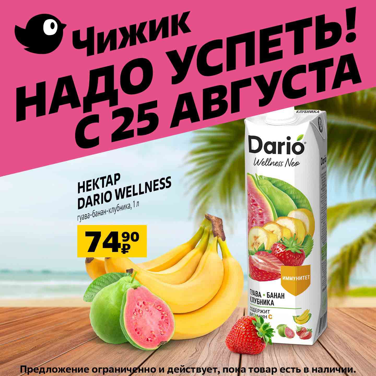 скидки чижик на сентябрь